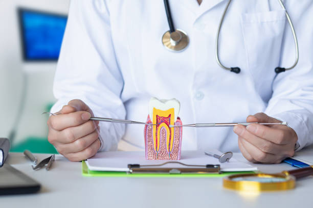 Best Emergency Treatment for Toothache in Fairview Shores, FL